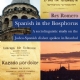 Spanish in the Bosphorus  A Sociolinguistic Study on the Judeo-Spanish Dialect Spoken in Istanbul
